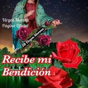 Meet your Posher, Leo